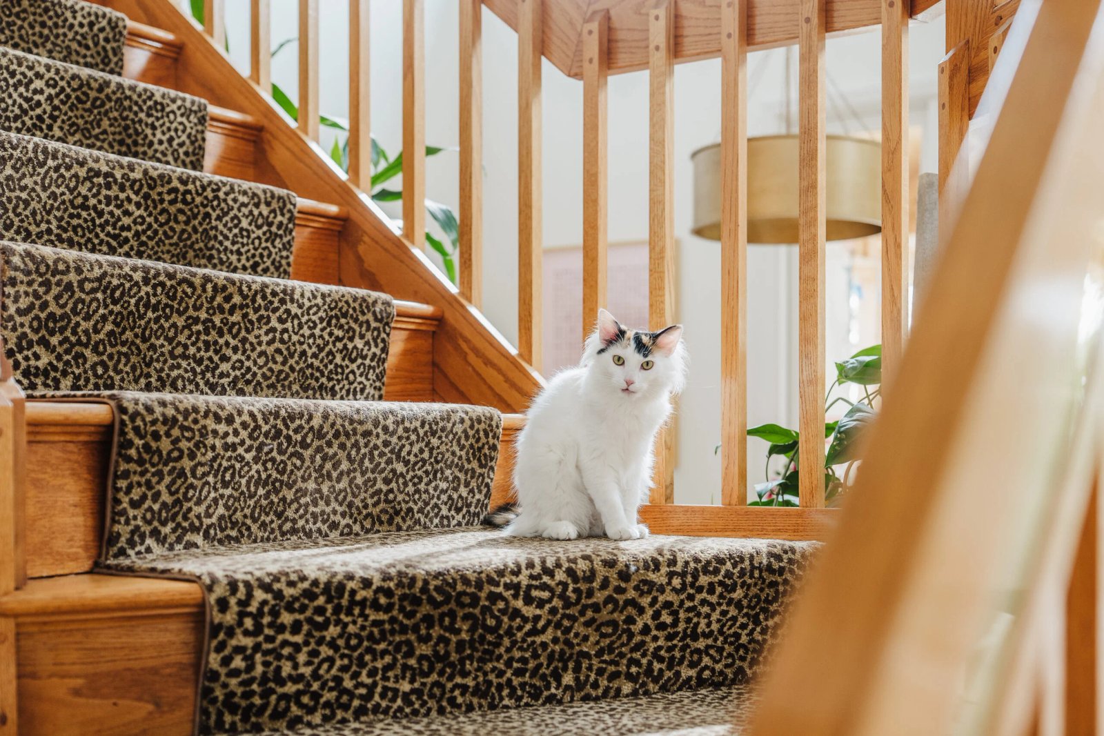 Kate Baer's Home Tour